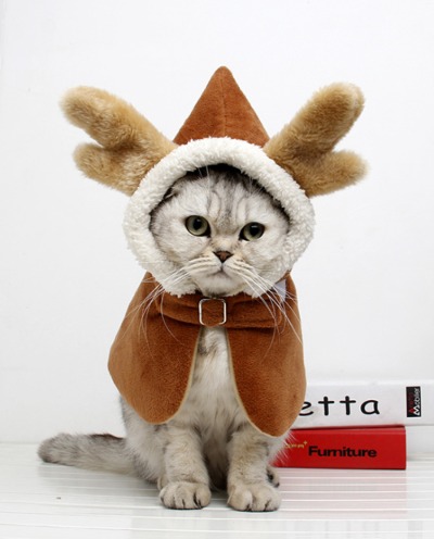 [도그웨그] 크리스마스 루돌프 망토 강아지 겨울 케이프 고양이 옷
