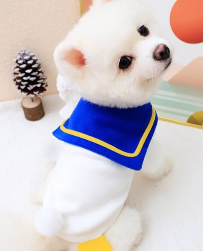 [도그웨그] 스쿨덕 티셔츠 조끼 강아지 겨울 옷 애견 의류