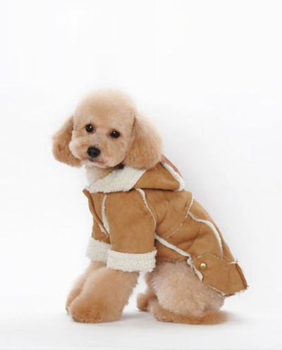 [도그웨그] 강아지 무스탕 자켓 겨울 옷 코트 아우터