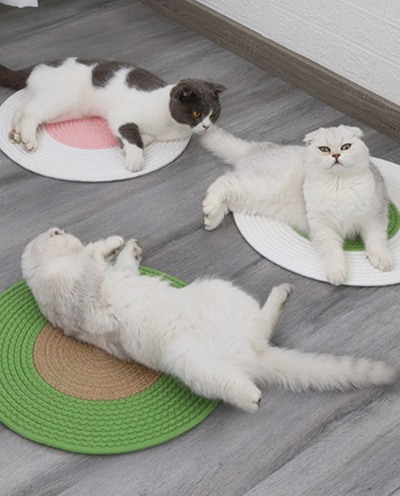 [도그웨그] 스크래쳐 매트 고양이 스트래스 해소 발톱관리 장난감 캣 용품