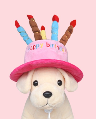 [도그웨그] 생일 케이크 모자 강아지 고양이 파티 용품